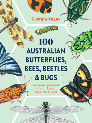 cover image of 100 Australian Butterflies, Bees, Beetles & Bugs